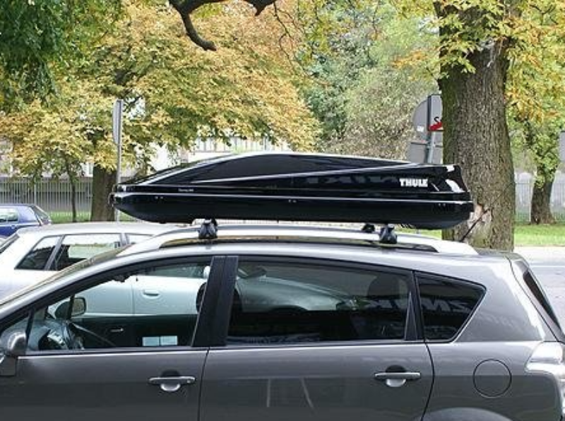 Thule Touring Alpine (700) B – классический лыжный бокс на крышу ...