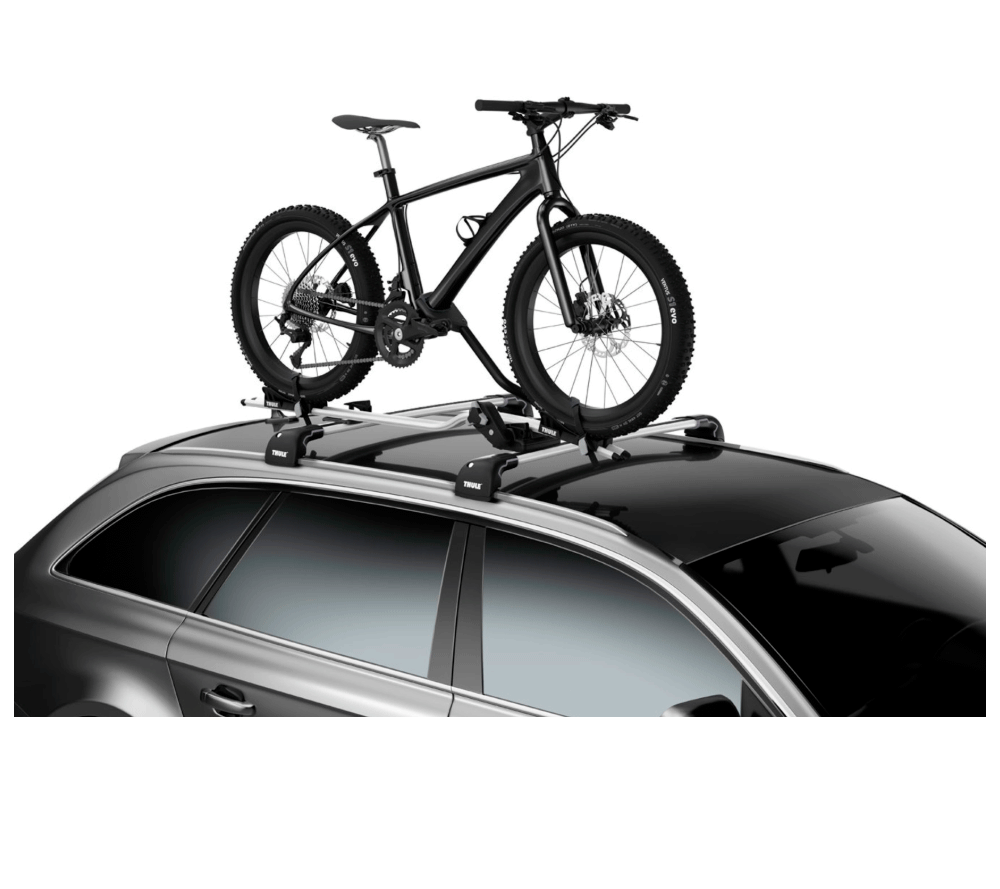 Fat bike carrier best sale