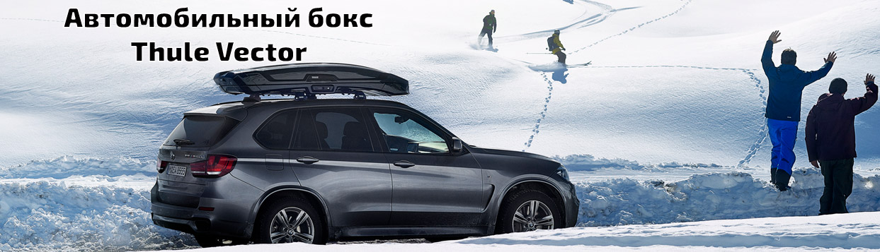 Автомобильный бокс Thule Vector зима
