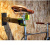  Настенное крепление для велосипеда BuzzRack Wall Work Stand компании RackWorld