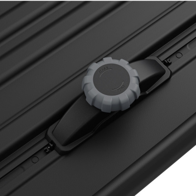  Автомобильный бокс Thule Pulse 2 L компании RackWorld