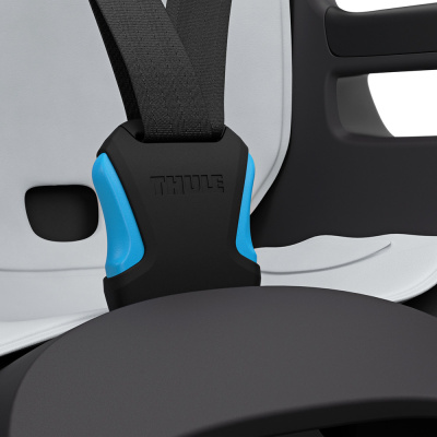  Детское велокресло Thule RideAlong 2 RM, темно-серое, 100609  компании RackWorld