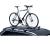  Велокрепление на крышу Thule FreeRide 532 компании RACK WORLD